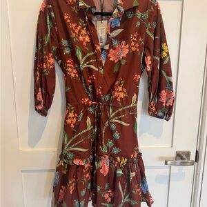 Cara Cara Maroon Robin Dress